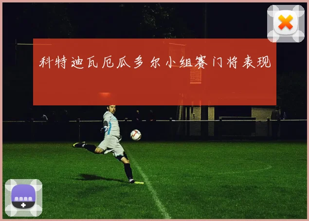 科特迪瓦厄瓜多尔小组赛门将表现