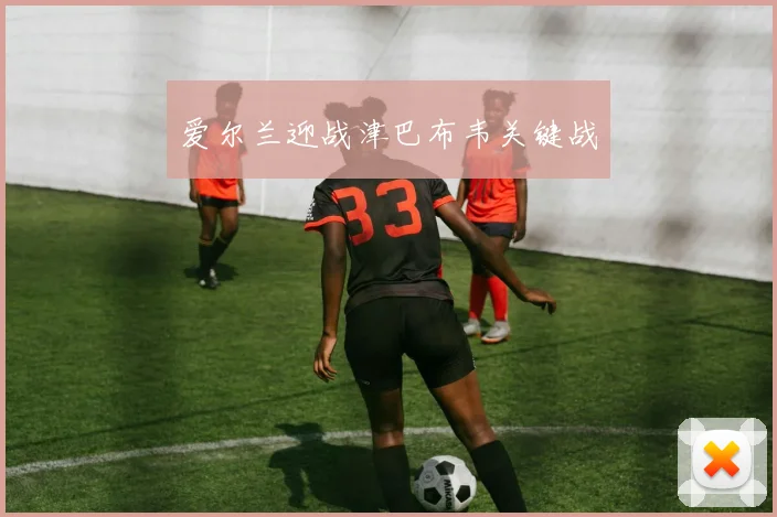 爱尔兰迎战津巴布韦关键战