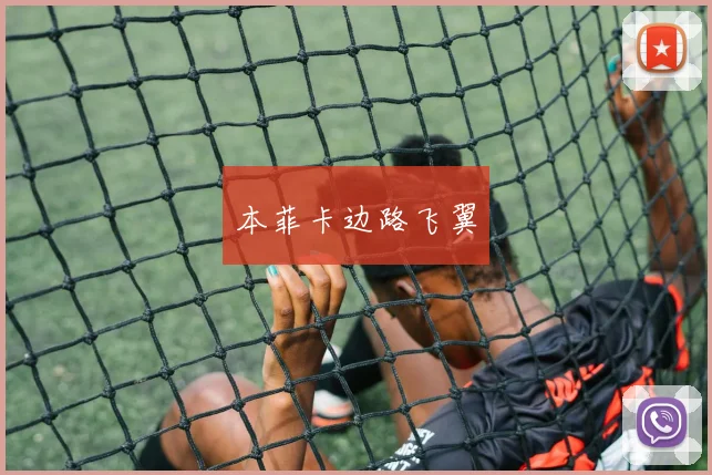 本菲卡边路飞翼