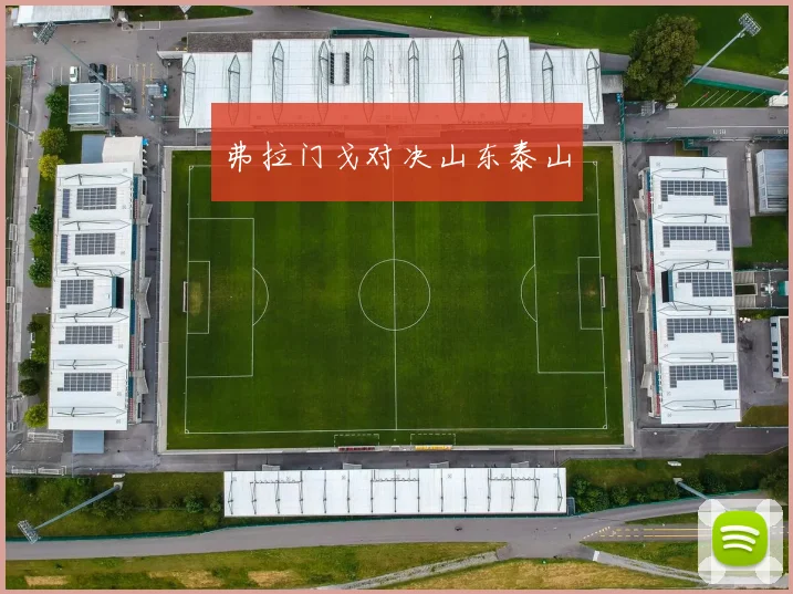 弗拉门戈对决山东泰山
