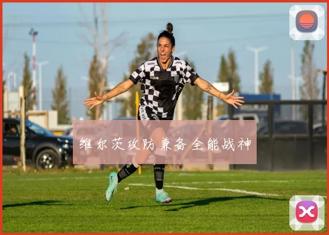 维尔茨攻防兼备全能战神
