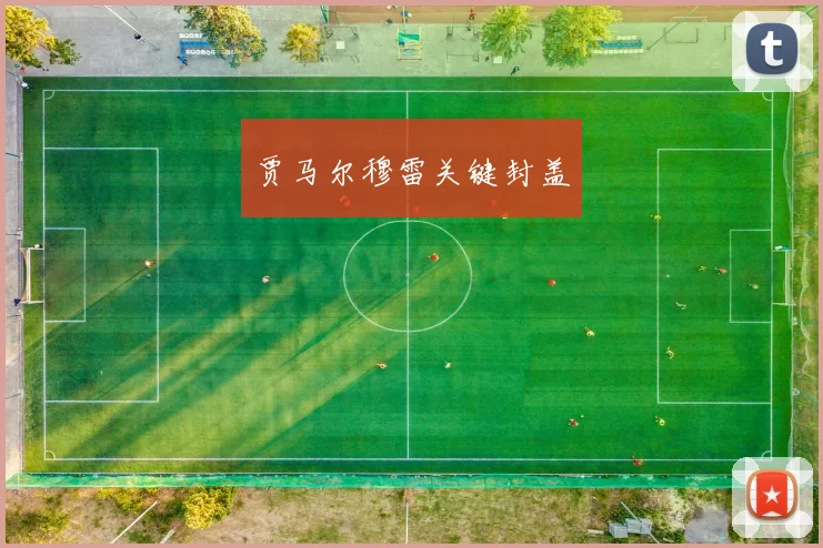 贾马尔穆雷关键封盖