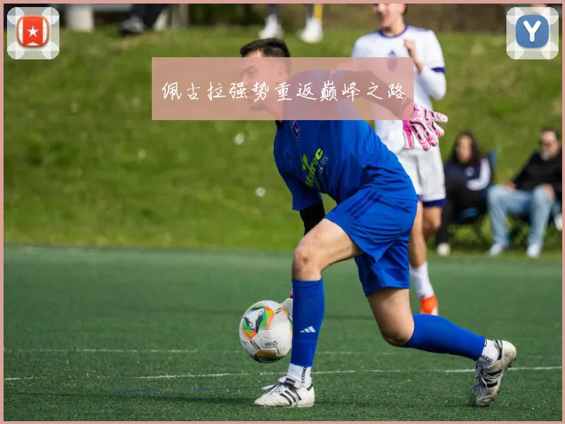 佩古拉强势重返巅峰之路