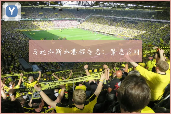 马达加斯加赛程告急:紧急应对