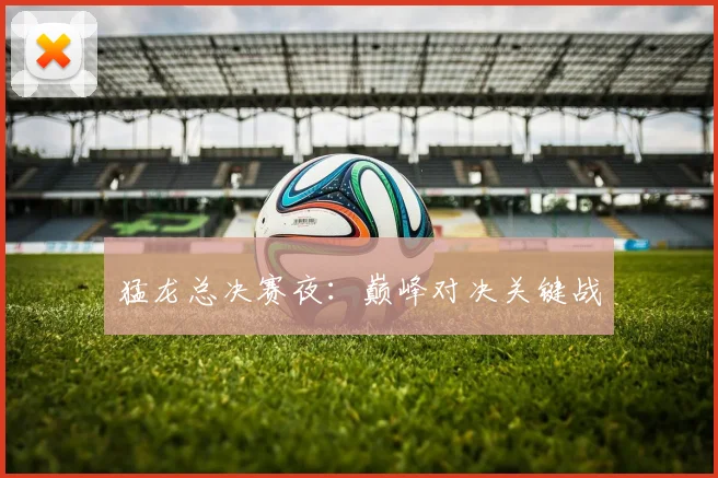猛龙总决赛夜:巅峰对决关键战