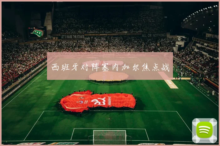 西班牙对阵塞内加尔焦点战