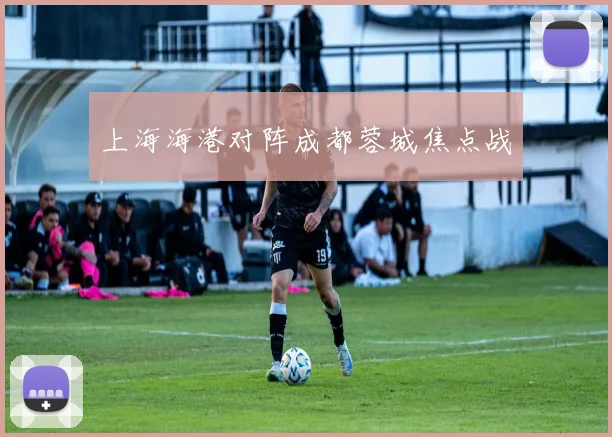 上海海港对阵成都蓉城焦点战