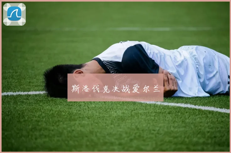 斯洛伐克决战爱尔兰