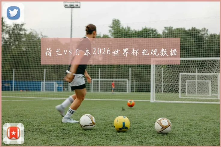荷兰vs日本2026世界杯犯规数据
