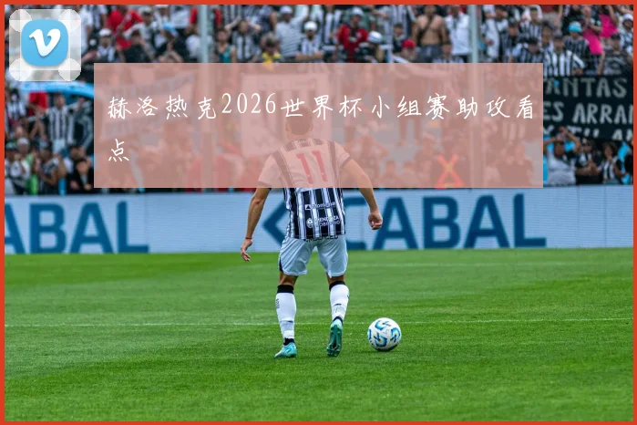 赫洛热克2026世界杯小组赛助攻看点
