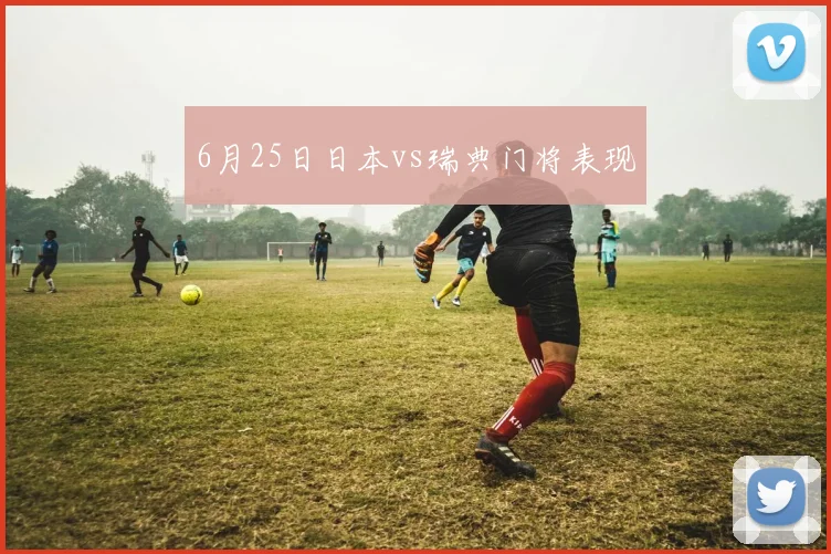 6月25日日本vs瑞典门将表现