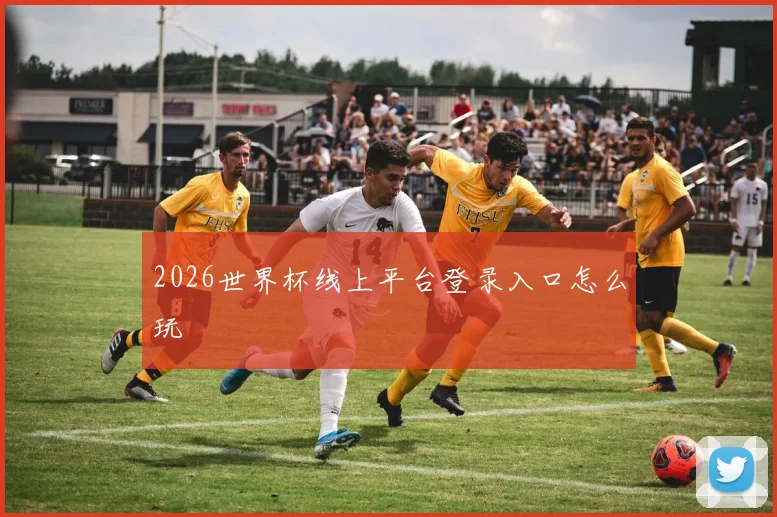 2026世界杯线上平台登录入口怎么玩