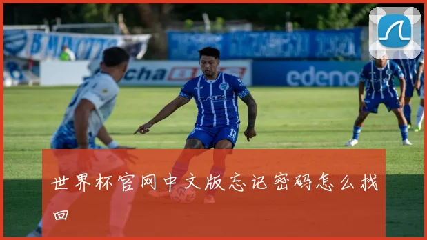 世界杯官网中文版忘记密码怎么找回