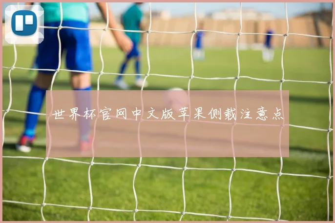 世界杯官网中文版苹果侧载注意点